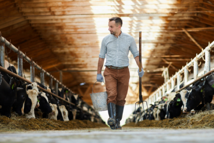 Agenor Vicente Pelissa