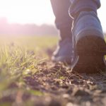 A Importância do Crescimento do Crédito Rural no Espírito Santo para o Desenvolvimento Sustentável do Agronegócio