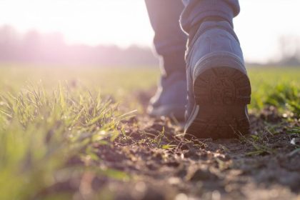 A Importância do Crescimento do Crédito Rural no Espírito Santo para o Desenvolvimento Sustentável do Agronegócio