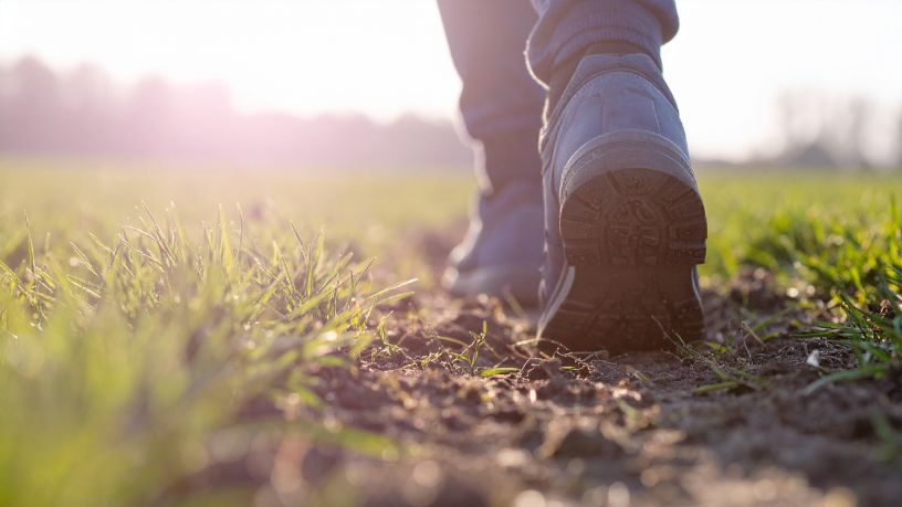 A Importância do Crescimento do Crédito Rural no Espírito Santo para o Desenvolvimento Sustentável do Agronegócio
