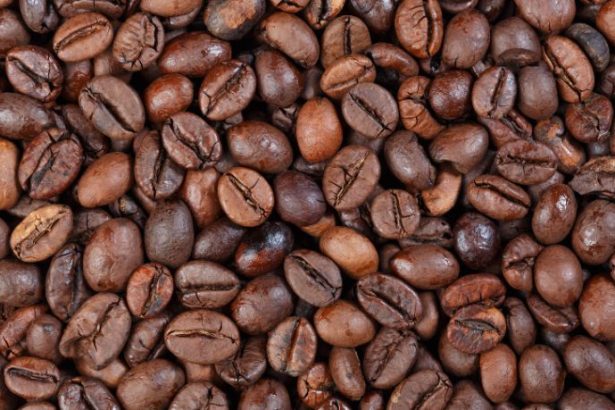 Revolução Tecnológica na Produção de Café Conilon no Espírito Santo