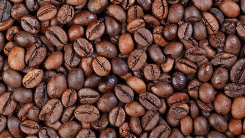 Revolução Tecnológica na Produção de Café Conilon no Espírito Santo