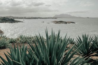 Vegetação costeira em primeiro plano diante de uma baía, com montanhas ao fundo, no Espírito Santo.